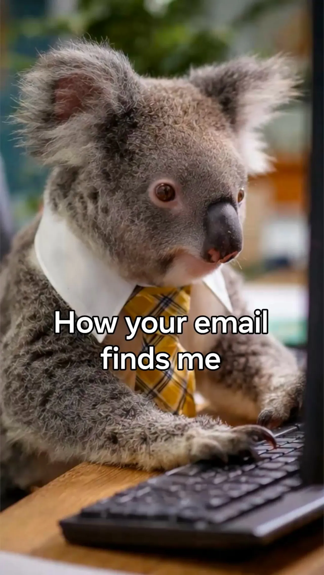 Meta AI Yaratıcılıkta Yeni Bir 