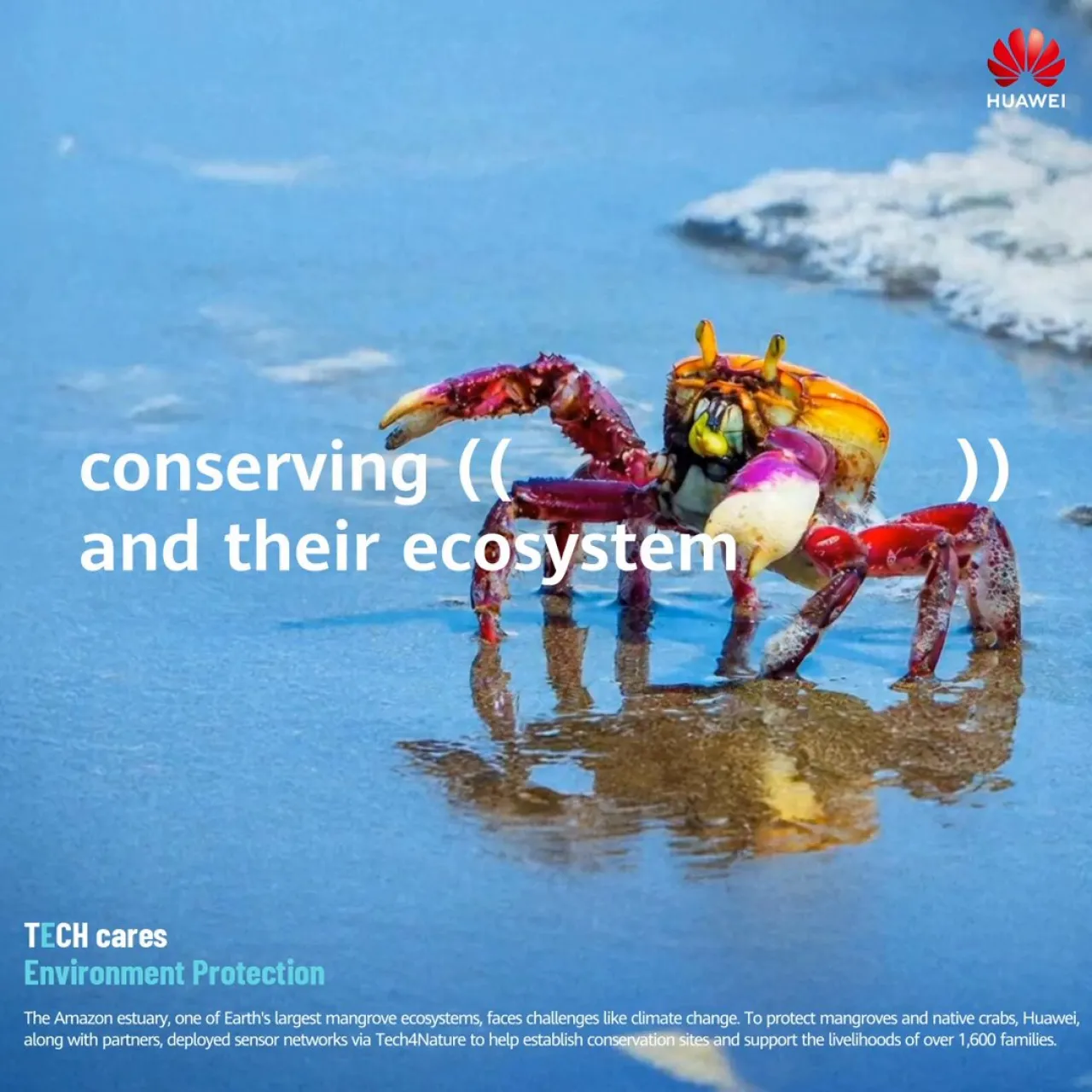 Huawei Tech4Nature: Teknoloji Doğayı Nasıl Koruyor?