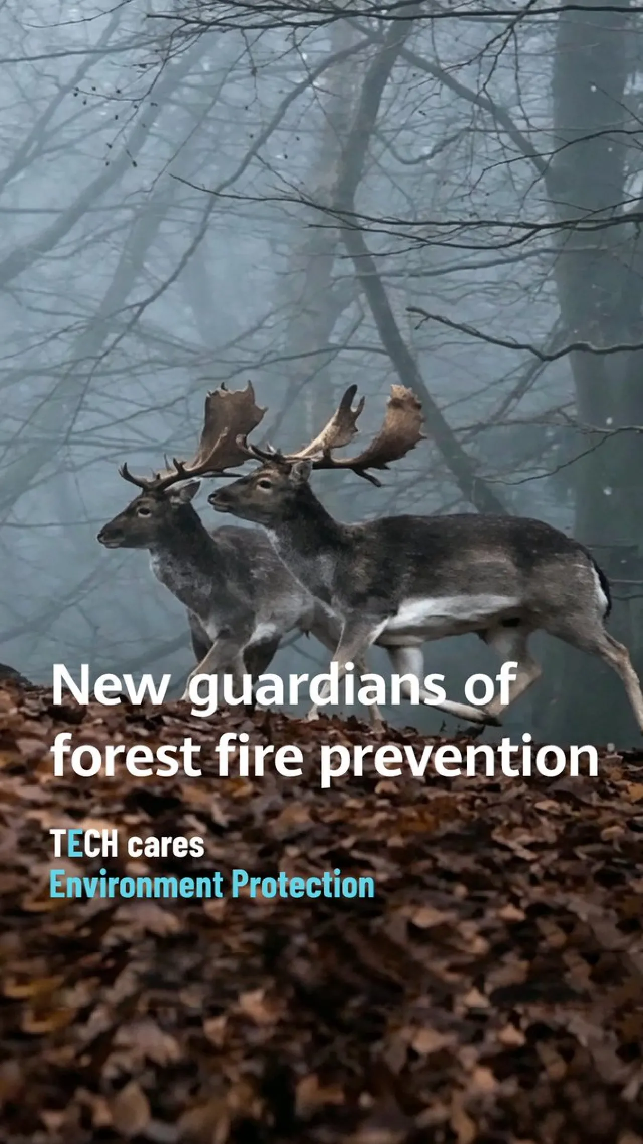 Yunanistan'da Orman Yangınlarına Huawei'nin Akıllı Çözümü: Dron ve Yapay Zeka