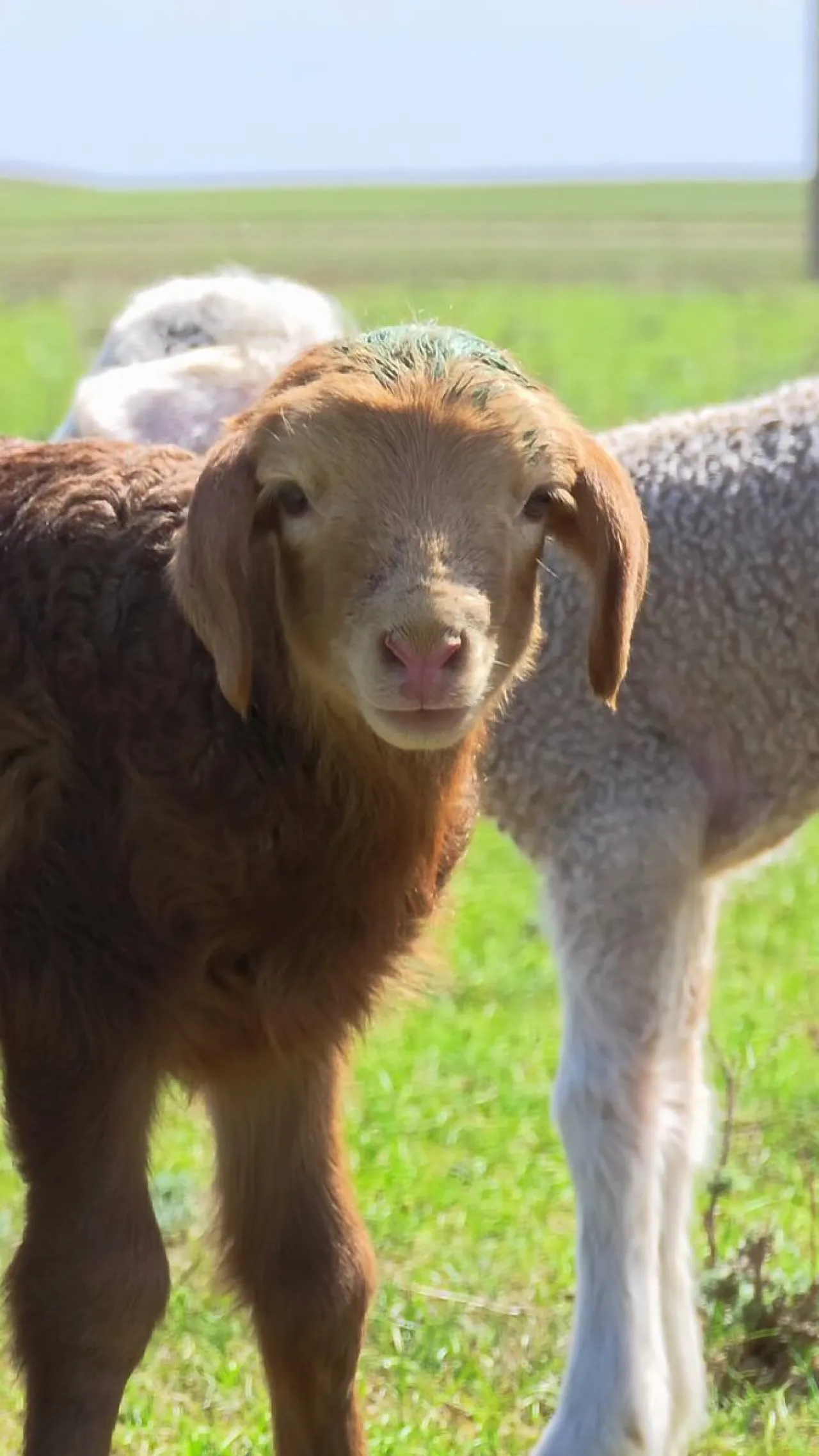 Xiaomi, Dünya Günü'nde Sürdürülebilir Yaşam Vurgusu Yaptı