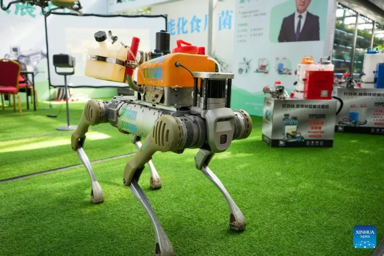 Shouguang'da Tarımın Geleceği: 50+ Robot Sergileniyor